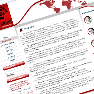 bizz2china - Pagina web de prezentare firma import-export